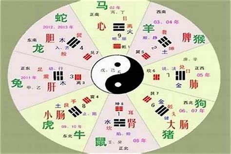 敏五行|敏的五行属性是什么